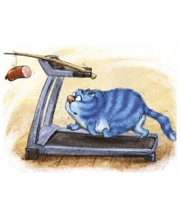 Beldizart Fitness 40 x 30 cm WD267