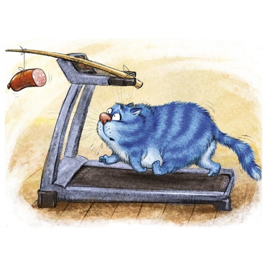 Beldizart Fitness 40 х 30 cm WD267