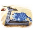 Beldizart Fitness 40 х 30 cm WD267 Beldizart Fitness 40 х 30 cm WD267