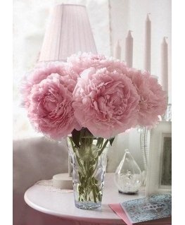 Beldizart Soft Peonies 27*38 cm WD002