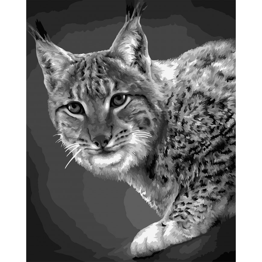 Beldizart Paint by numbers kit. F008 Lynx 40*50