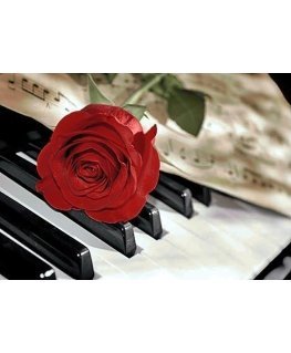Beldizart Rose Music 38*27 cm WD053