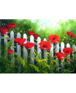 Beldizart Sodo aguonos 38*27 cm WD008