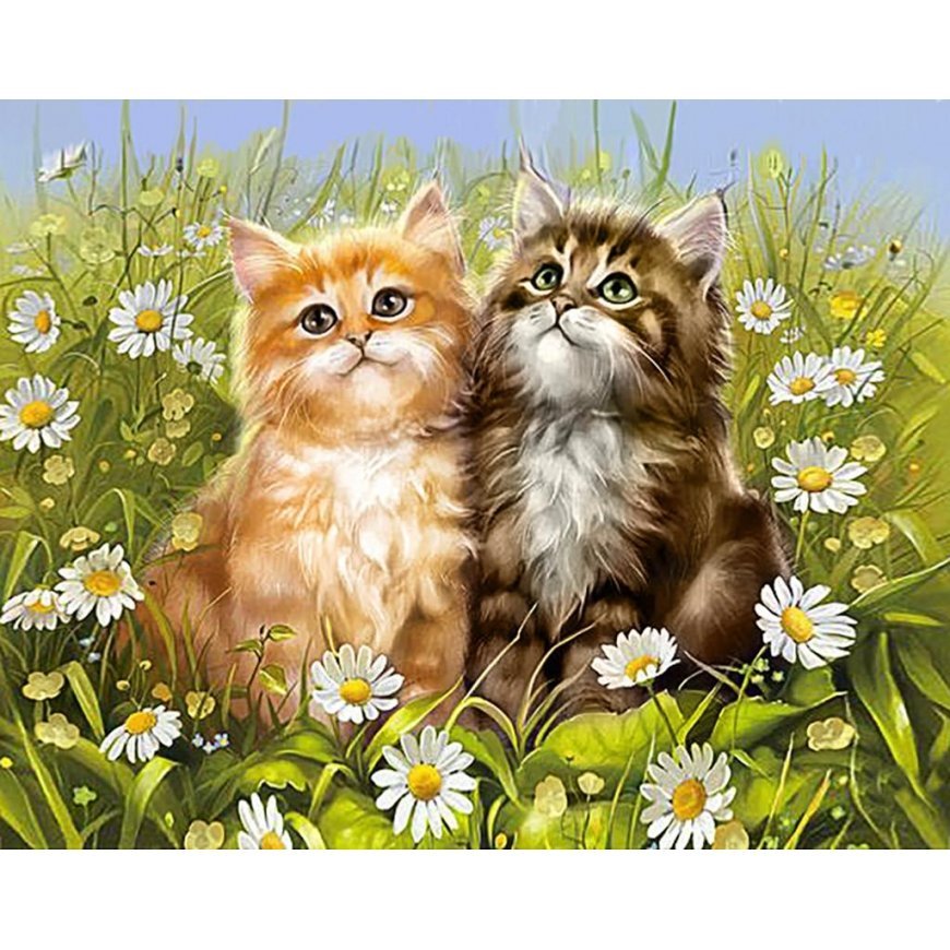 Beldizart Summer kittens 48х38 cm WD209