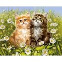 Beldizart Summer kittens 48х38 cm WD209 Beldizart Summer kittens 48х38 cm WD209