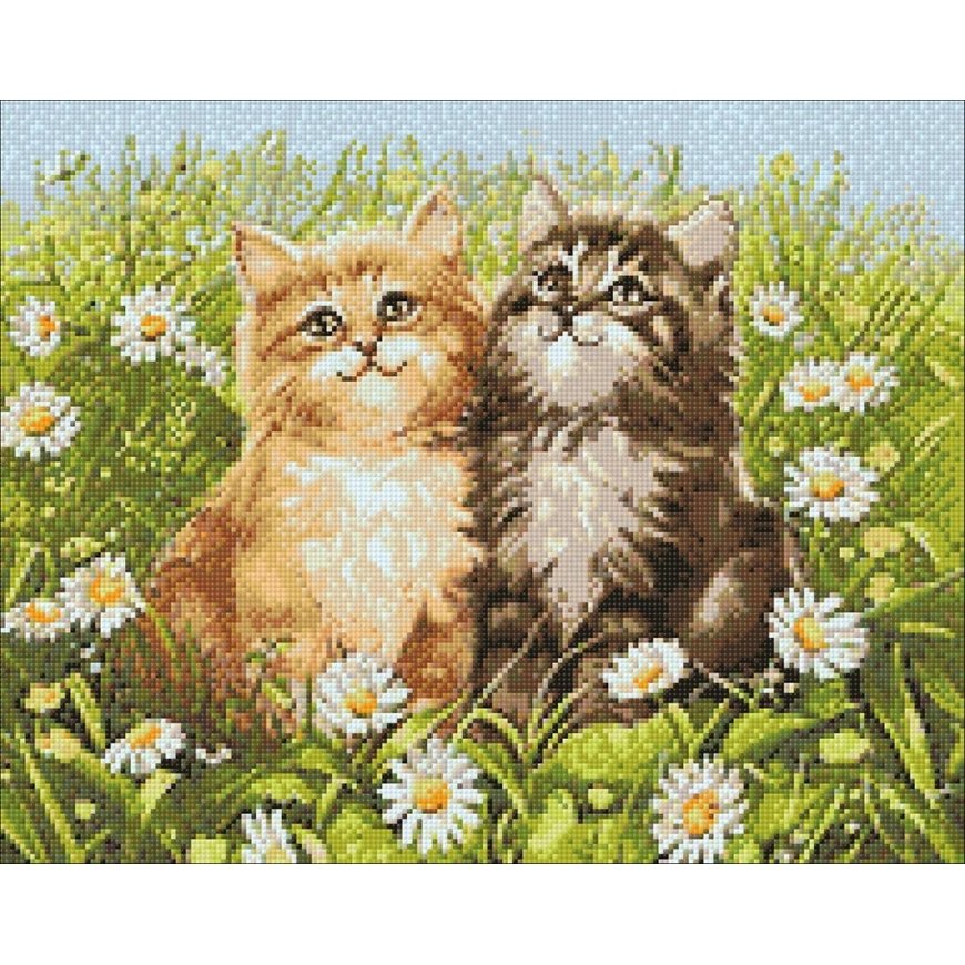 Beldizart Summer kittens 48х38 cm WD209 – 2