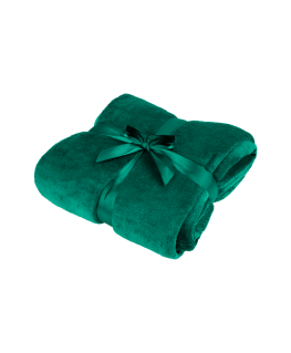 Fleece blanket 200x220 cm TEESA - green