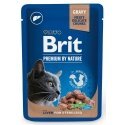 BRIT Premium Cat Liver Sterilized - märg kassitoit - 100g