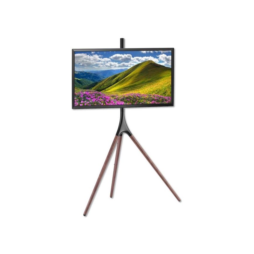 TECHLY 105209 Techly Fixed universal tripod holder for TV LCD/LED/Plasma 45-65 35kg VESA – 2