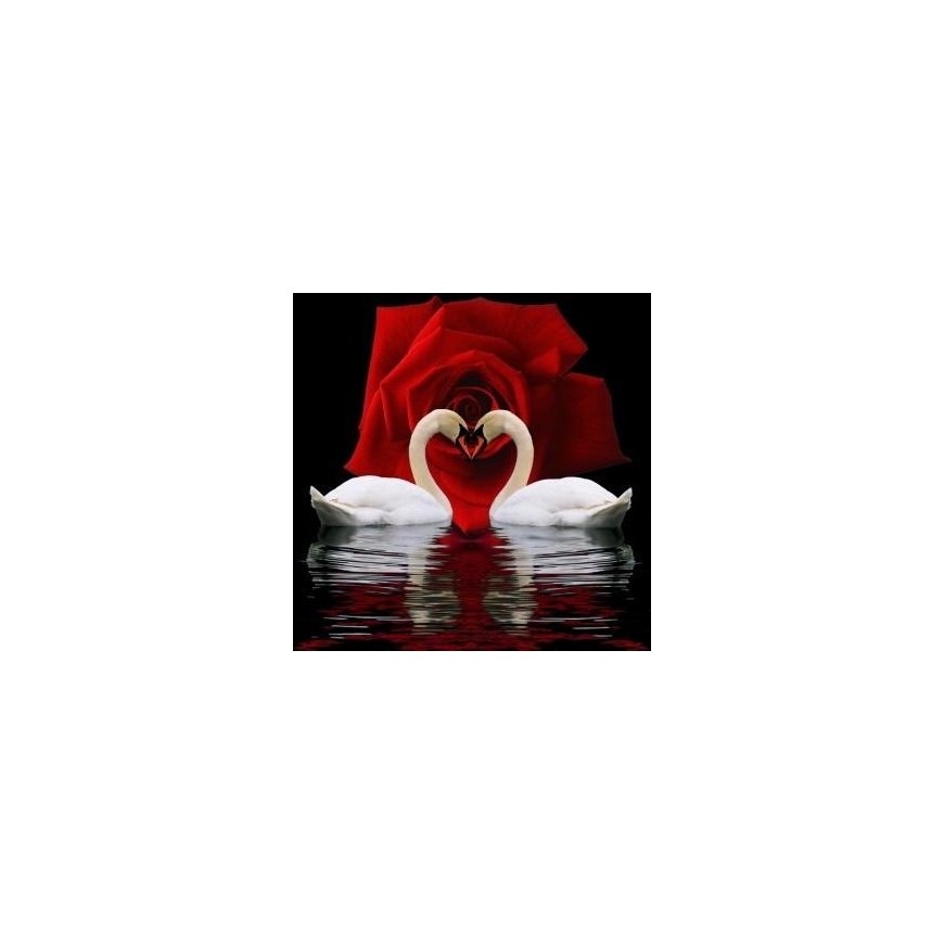 Beldizart Diamond Painting Kit Swan Devotion