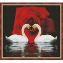 Beldizart Deimantų tapybos rinkinys Swan Devotion 50x55 cm AZ-421 Beldizart Deimantų tapybos rinkinys Swan Devotion 50x55 cm AZ-421