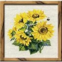 Uab 039039Riolis039039 Sunflower 776 Uab 039039Riolis039039 Sunflower 776