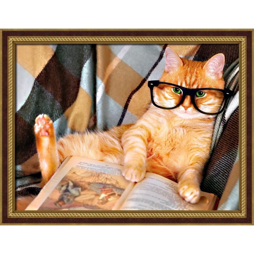 Beldizart Reading cat 40x30 cm AZ-1830