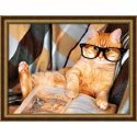 Beldizart Reading cat 40x30 cm AZ-1830 Beldizart Reading cat 40x30 cm AZ-1830