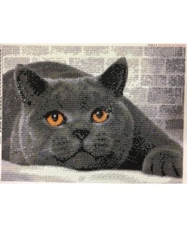 Beldizart Diamond painting kit British Cat 40х30 cm AZ-1463