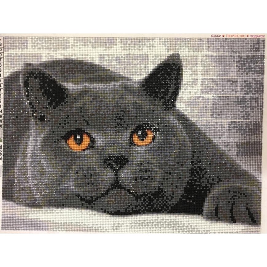 Beldizart Diamond painting kit British Cat