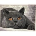 Beldizart Deimantinio dažymo rinkinys British Cat 40х30 cm AZ-1463 Beldizart Deimantinio dažymo rinkinys British Cat 40х30 cm AZ-1463