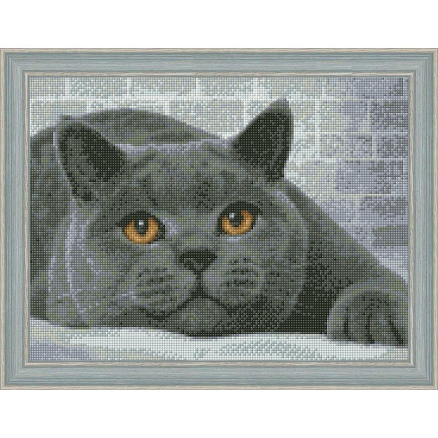 Beldizart Diamond painting kit British Cat 40х30 cm AZ-1463 – 2