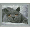 Beldizart Diamond painting kit British Cat 40х30 cm AZ-1463 Beldizart Diamond painting kit British Cat 40х30 cm AZ-1463