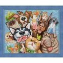 Beldizart Animal selfie 50х40 cm AZ-1658 Beldizart Animal selfie 50х40 cm AZ-1658