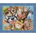 Beldizart Animal selfie 50х40 cm AZ-1658 Beldizart Animal selfie 50х40 cm AZ-1658