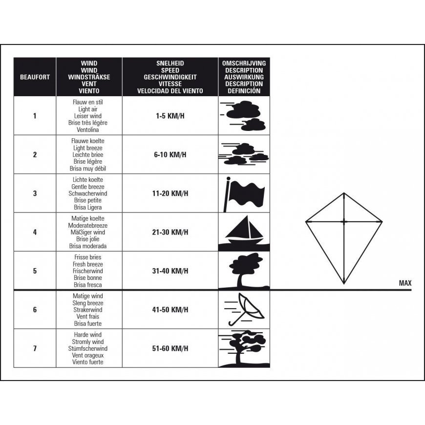 Kite 51WG Tail Kite Pirate – 4