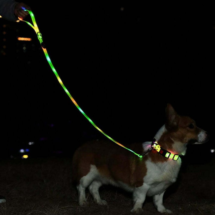 Media-Tech Colored LED lighted PVC collar