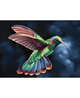 Beldizart Tropic Bird 38*27 cm WD058