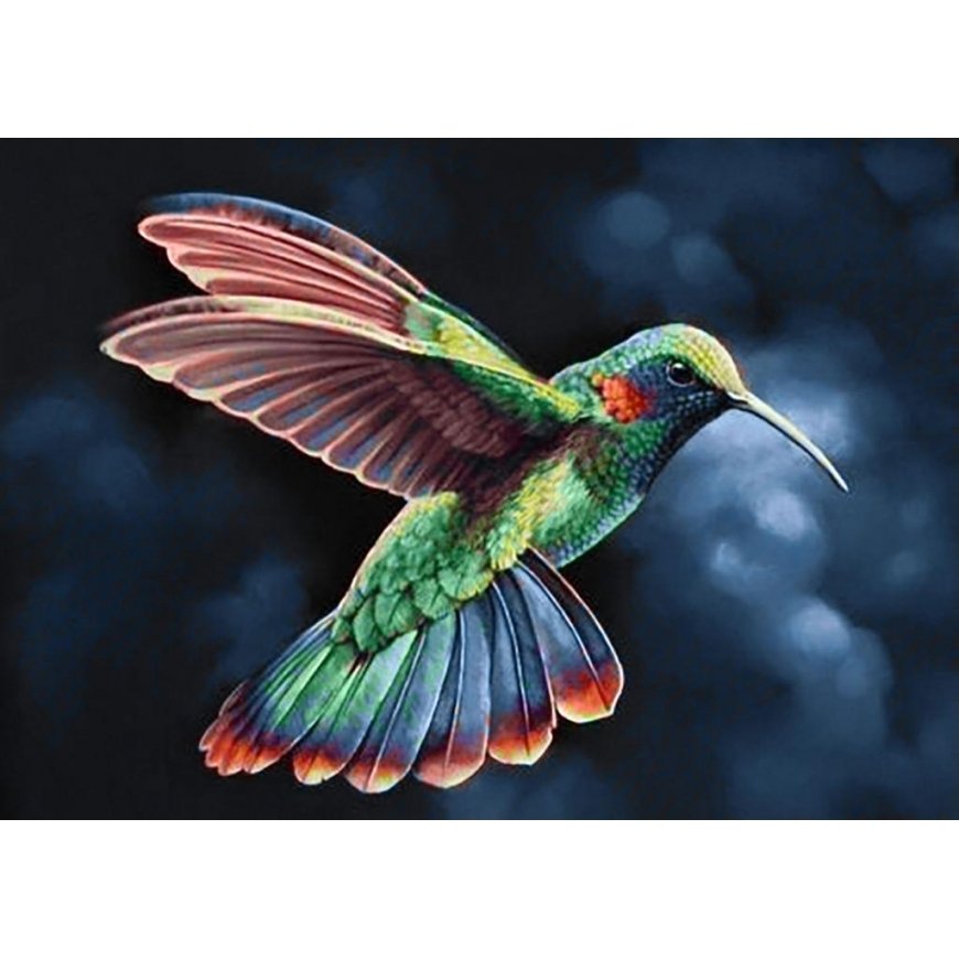 Beldizart Tropic Bird 38*27 cm WD058