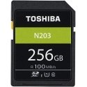 Toshiba SD Exceria R100 N203 256 ГБ Toshiba SD Exceria R100 N203 256 ГБ