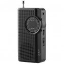JVC Radio rae311b