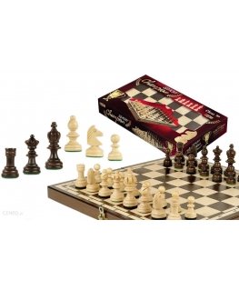 MAGIERA RAFAŁ šachmatų čempionas 35cm