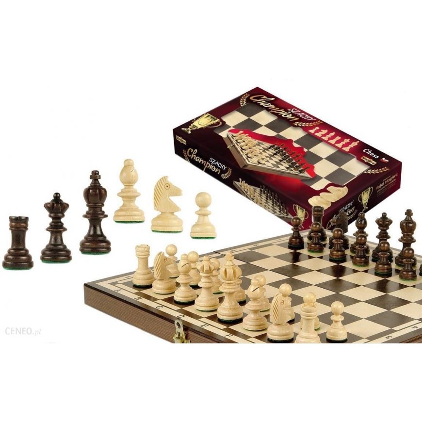 MAGIERA RAFAŁ šachmatų čempionas 35cm