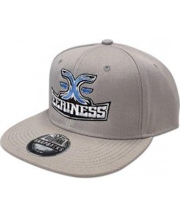 EERINESS EERINESS snapback, pilkas, išsiuvinėtas logotipas