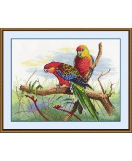 Beldizart (Discontinued) Parrots S509