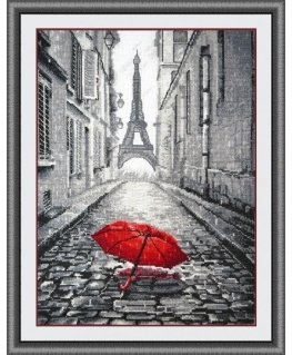 Beldizart Rain in Paris S868