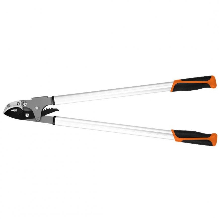 Neo Anvil pruner for branches 765
