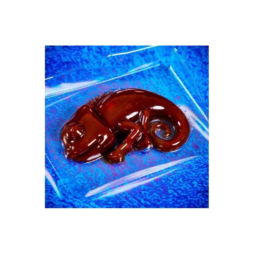 Lisciani Crazy Science - Slime kameleon – 3