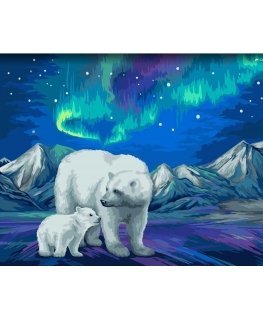 Beldizart Wizardi tapybos pagal numerius rinkinys. Aurora Borealis 40x50 cm H095