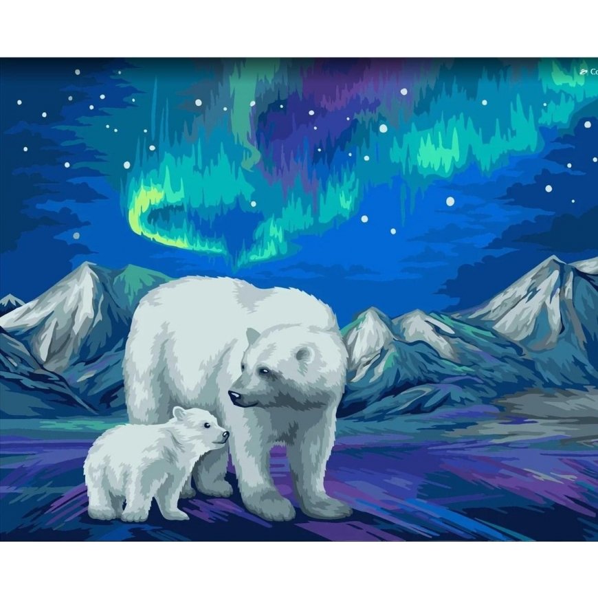 Beldizart Wizardi paint by number kit. Aurora Borealis 40x50 cm H095