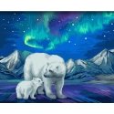 Beldizart Wizardi paint by number kit. Aurora Borealis 40x50 cm H095