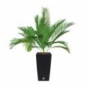 Prosperplast Pot with insert Rato Square DRTS225 anthracite Prosperplast Pot with insert Rato Square DRTS225 anthracite