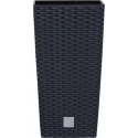 Prosperplast Pot with insert Rato Square DRTS225 anthracite Prosperplast Pot with insert Rato Square DRTS225 anthracite