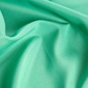 Eurofirany D91 / Z / ADORE / MINT 140X250 PAKEITIMAS