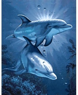 Beldizart Dolphin Rendezvous 38 x 48 cm WD222