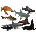 Lean Cars Marine Education Figures Animals 8 Seals Rekino Elements Delfin Mors Yellow Lean Cars Marine Education Figures Animals 8 Seals Rekino Elements Delfin Mors Yellow
