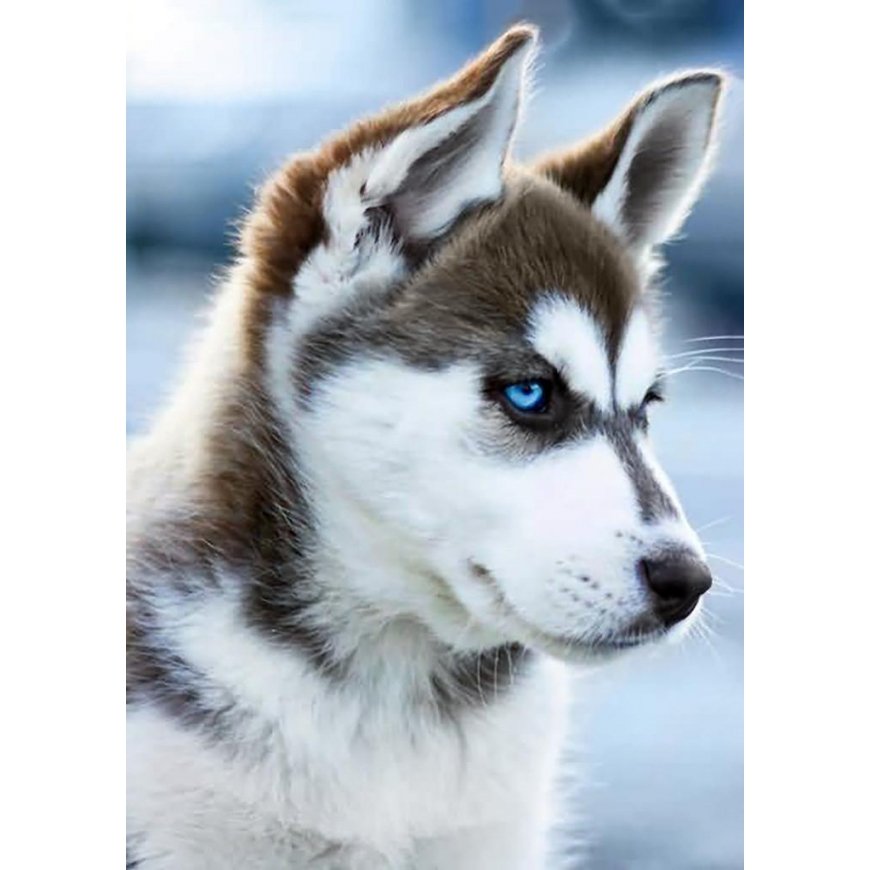 Beldizart Snow dog 27*38 cm WD088