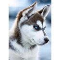 Beldizart Snow dog 27*38 cm WD088 Beldizart Snow dog 27*38 cm WD088