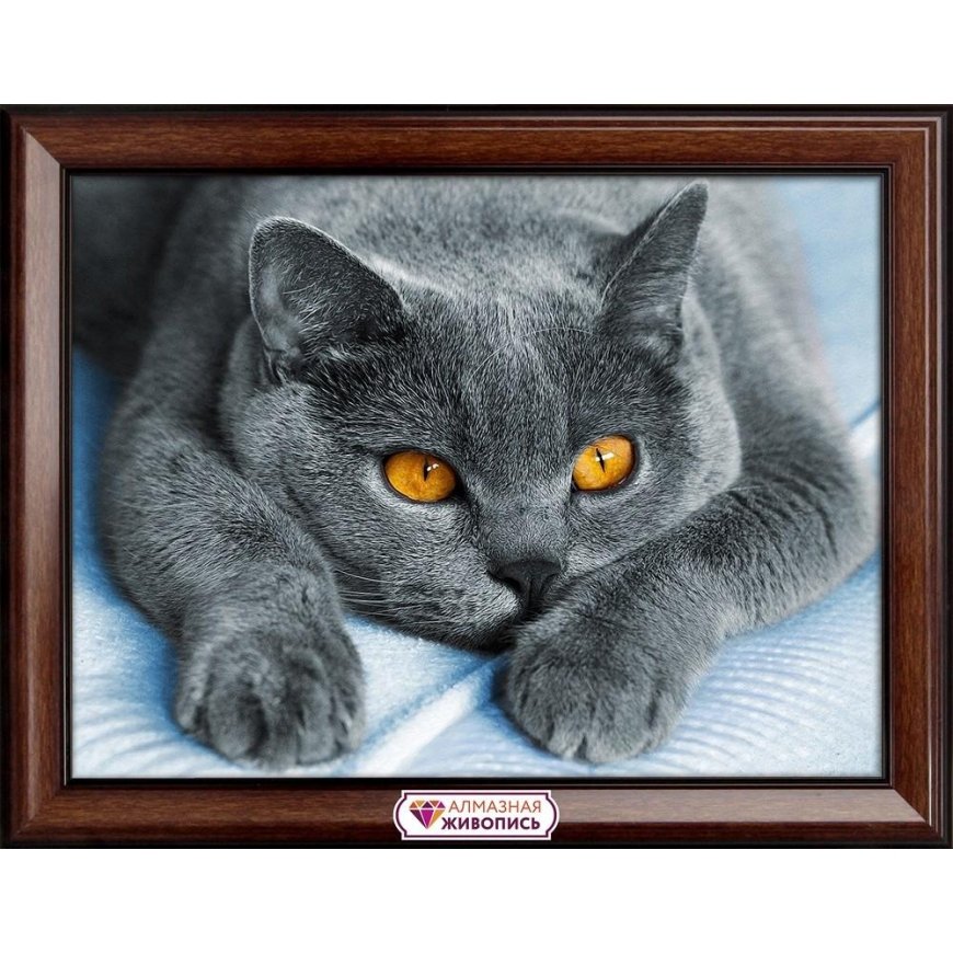 Beldizart Loving British cat 40х30 cm