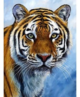 Beldizart Tigras 30х 40 cm WD309